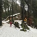 der Winter verabschiedet sich ...
