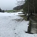 die junge Langete fliesst in die Waldmatt