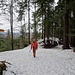 ... bei der WW-Gabelung unterhalb der Fritzeflue (938 m)