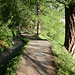 friedlicher Gang entlang der Bisse im leicht bewaldeten Gelände ... 