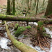 In allen Rinnen und Tobeln rauschte das Wasser hinunter