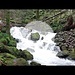 Wo der Wildbach rauscht