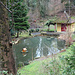 Ein Weiher unterhalb vom Schloss Hilfikon.