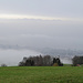romantische Nebelstimmung am Rorschacherberg
