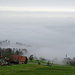 romantische Nebelstimmung am Rorschacherberg