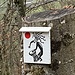 [https://www.hikr.org/user/Makubu/gallery/tags/seltsame_grafik/ Seltsame Grafik] gegen den Wischberg hinauf, bei einer kleinen Hütte.


