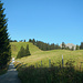 Vorne bei der Baumgruppe steigt man dann über den Wiesenhang hoch zur Bergstation der Gulmabahn.