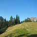 Auf und Ab im Wechsel von Bergwiesen und Latschengassen.