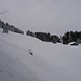 Alp Ober-Scheieli