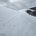 Sulla stradina in leggera discesa che porta all’Alpe Boffalora, uno sguardo all’indietro dove sul candido manto nevoso ci sono solo le mie impronte.