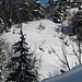 first lines am Hirzeggsporn
