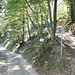 Ad un bivio lasciamo la sterrata, che corrisponde al sentiero no. 1 della <b>Via dei Monti Lariani</b> per salire, a destra, verso una bella abitazione bianca a quota 1200 m.