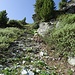 auf der NNE-Rampe des Crêt du Midi direkt zur Station hoch