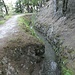 an der Bisse de Vercorin