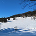 Naturschutzgebiet unterm Silberberg. Der Gipfelbereich ist im Winter zum Schutz der Auerhähne gesperrt. Der Silberbergsteig, wohl die einzige offizielle Wanderroute im Hochschwarzwald die an T3 heranreicht, verläuft auf der Westseite durch. Weit vom Einstieg war ich heute nicht mehr entfernt. Über Winterbegehungen habe ich aber keine Informationen.<br /><br />[tour153557 Silberberg-Steig - Von Todtnau auf den Feldbergpass]<br /><br />