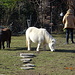 agriturismo a Cà del Monte (I)