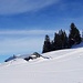 Gut eingeschneite Alphütte von Maton