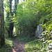 Burgruine Alt Lägern