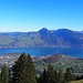 Blick auf den Thunersee