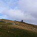 Gipfel Chasseral