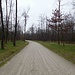 Strada del Gaggio
