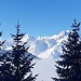  Tour Noir tout blanc