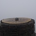 Wahnsinns-Ausblick auf dem höchsten Berg von Wales!
