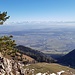 Blick zu den Alpen von der Küferegg