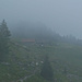 Die Alp Natons im Nebel
