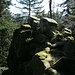 Kurz vor der Schondelhöhe erreiche ich den Felsen des Bärensteins. Leider ist er durch die Schattenwirkung im Foto schlecht zu sehen.