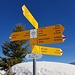 auch im Sommer eine beliebte Wanderroute