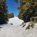 immer wieder kleine Steigungen, wie gemacht für Schneeschuhwanderer