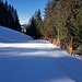 Abstieg stets auf oder nahe der Skipiste