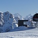 zurück am Kronplatz