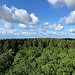 Unterwegs in Almindingen - Ausblick vom Aussichtsturm Kongeminde am Rytterknægten-Gipfel, wieder über Baumkronen hinweg. Am Horizont erahnt man die Ostsee.
