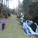 Bald am oberen Ausgang der Schlucht. Dazu muss man den Wildbach an der insgesamt 3. Brücke in der Schlucht nach Westen wechseln und dabei den markierten Wanderweg verlassen. 