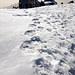 arrivo al Rifugio Nicola