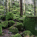 Reichlich Moos-Granit auch im Hang oberhalb.