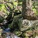 Solch ein wasserreiche Wanderung hatte ich lange nimmer und ...