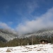 Rückblick