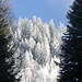 Eiszeit