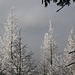 Nebel und Eis