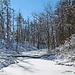 Der Karlsgraben im Winter.