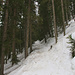 Durch den Schwarzwald stieg ich auf dem Wanderweg ins Suretta Hochtal hinauf. Der Weg war wegen glattgeschliffener Oberfläche durch Skitourengänger  mit Schneeschuhen bestens begehbar.
