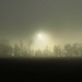 Nebel frisst Sonne / la nebbia divora il sole