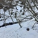 Guadato il torrente Esino la traccia si perde, dopo un primo tratto incerto si riesce comunque a risalire la dorsale stando sulla sponda sinistra orografica del corso d'acqua. 