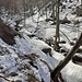 Ambiente nei pressi del torrente Esino. 