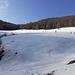 Terminata la parte boscosa ci si avvicina ad Alpe Lierna.