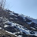 Si contano 7 esemplari di camosci, ma dal vivo avvistati almeno una trentina circa.