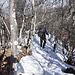 Residuo nevoso nella parte alta di percorso salendo al Monte Palagia 1546 mt.